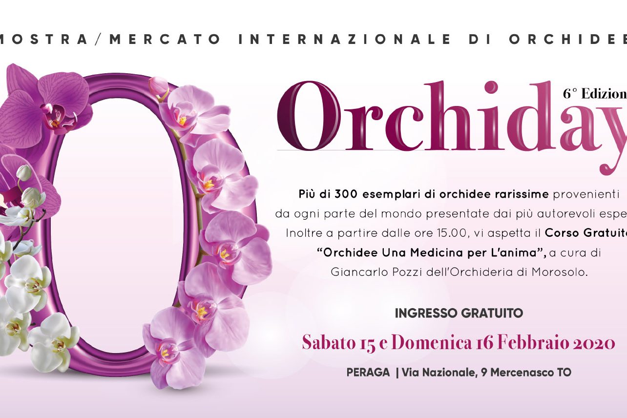 orchiday