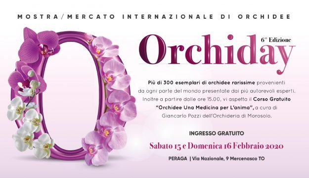 orchiday