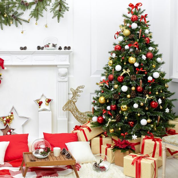 albero