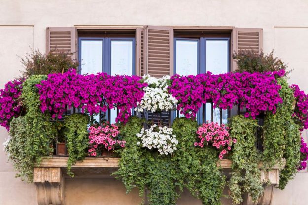 balcone_fiorito