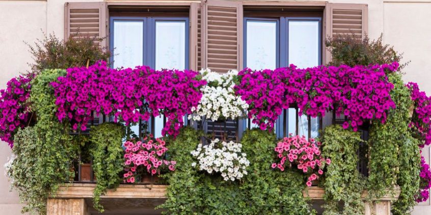balcone_fiorito
