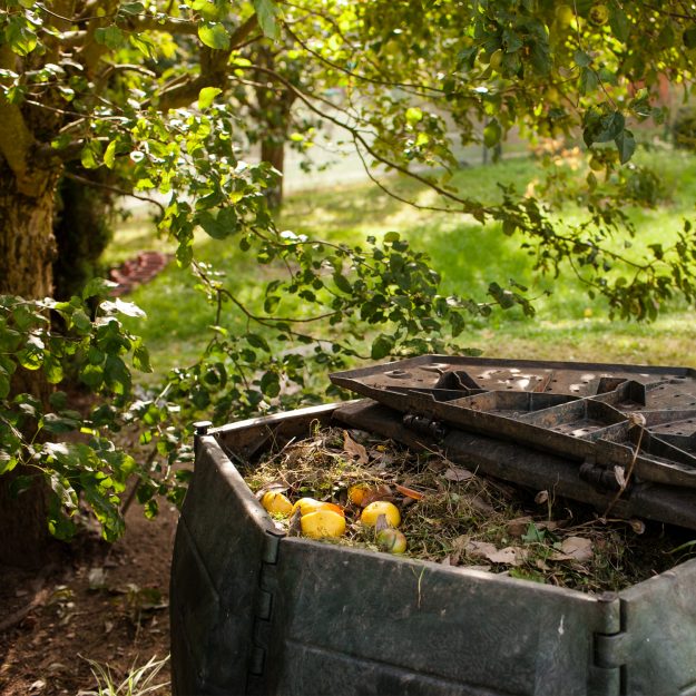 compost