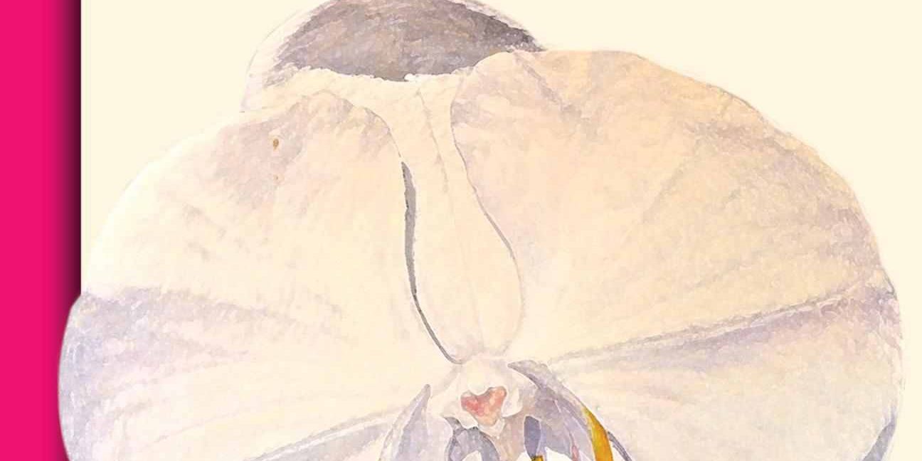 cover2