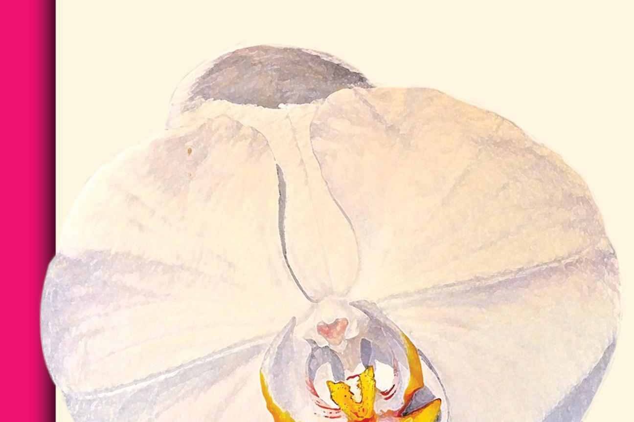 cover2