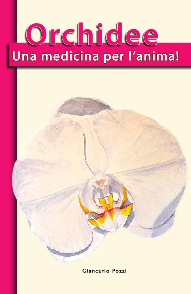 cover2