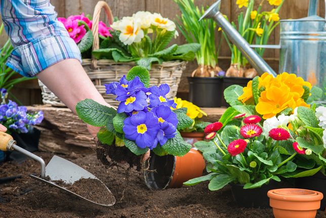 fiori_piantare_aprile