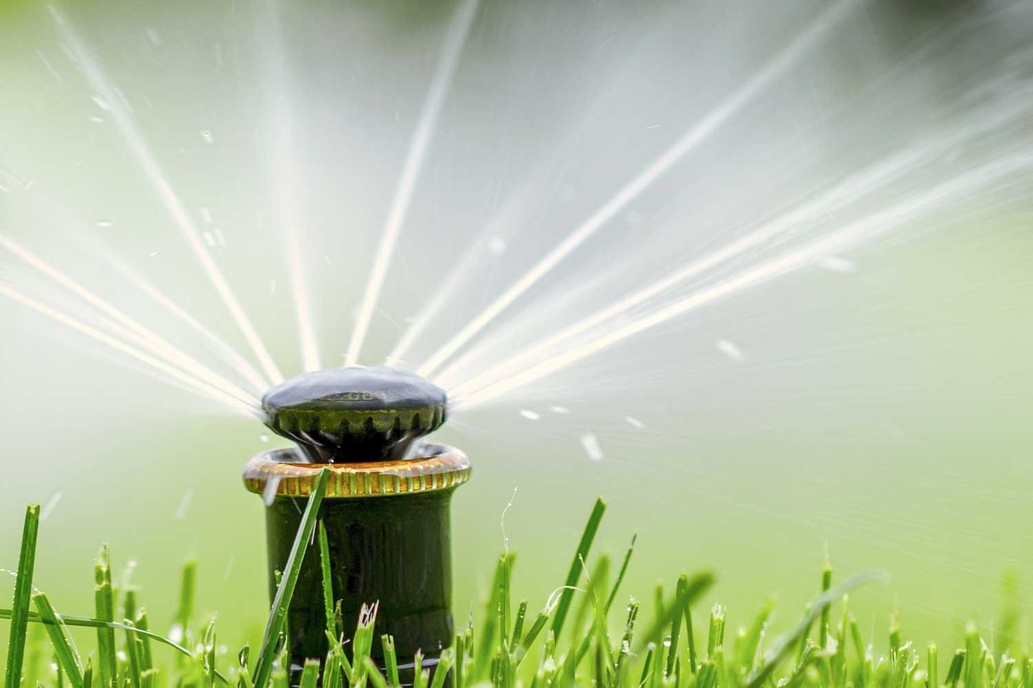 irrigatore