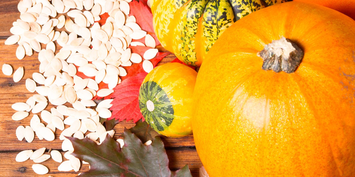 zucca