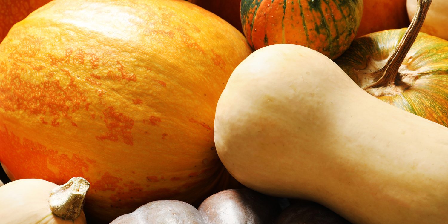 zucca2