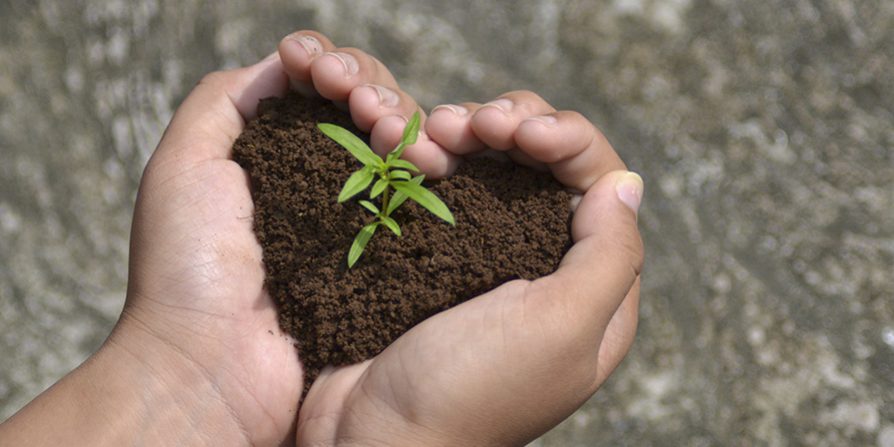 orto-sul-balcone-terriccio-e-terra-di-campo