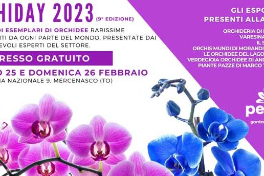 immagine-evidenza-orchiday1 ORCHIDAY PERAGA 2023