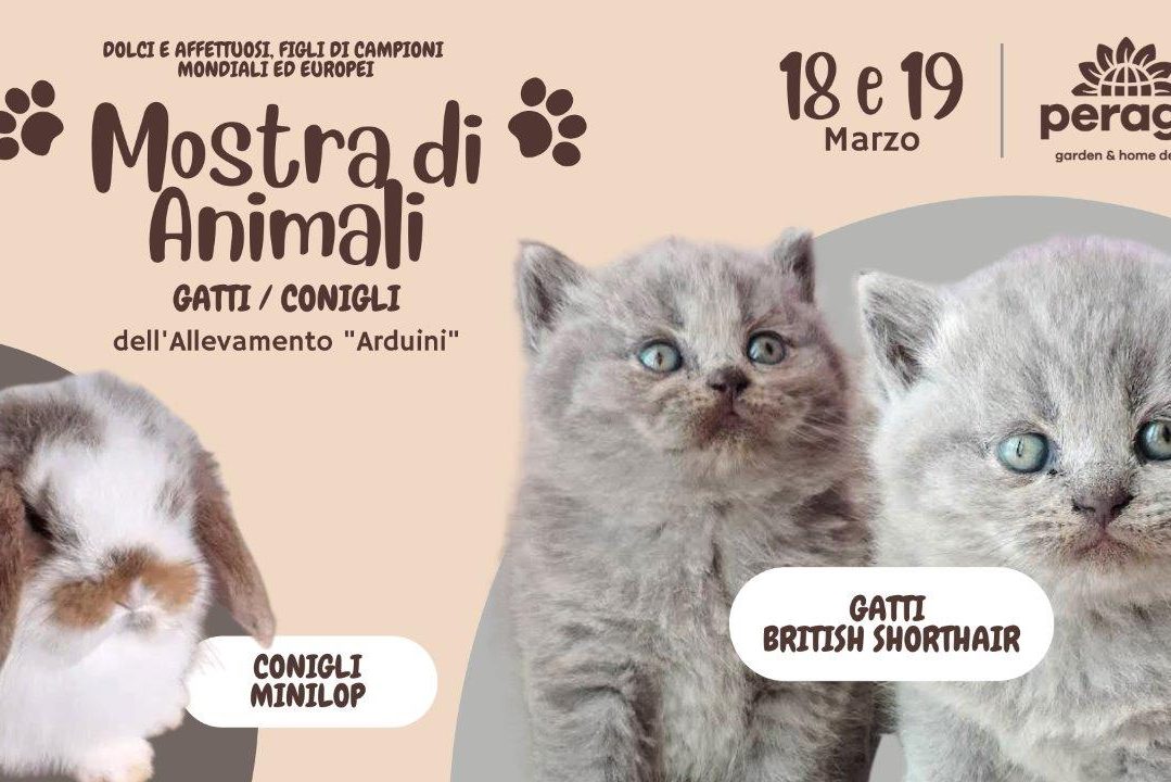 Peraga-mostra-animali-2