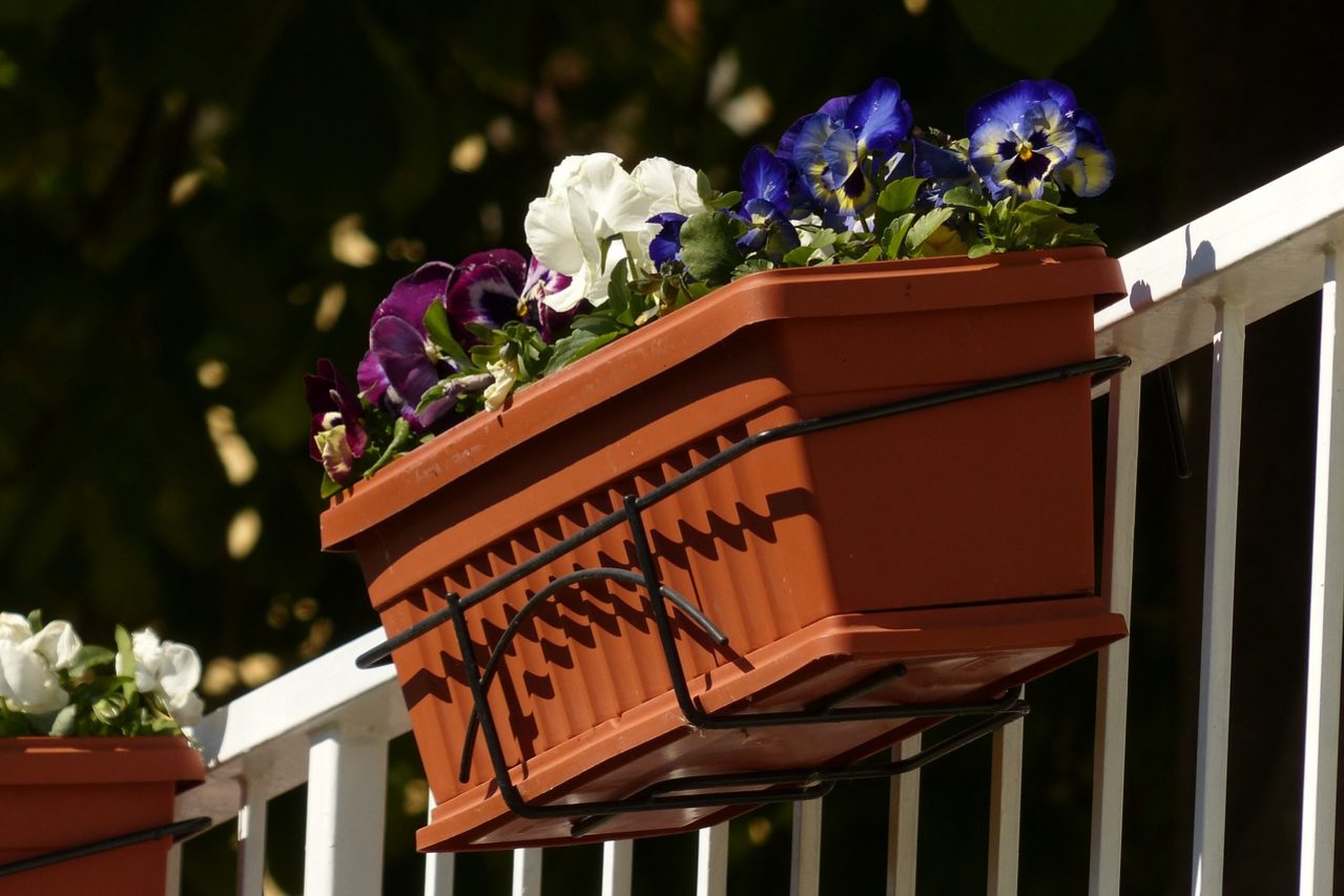 balcony-plants-357702_1280